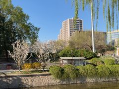 -元大都城垣遗址公园