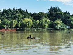 -扬州瘦西湖船宴