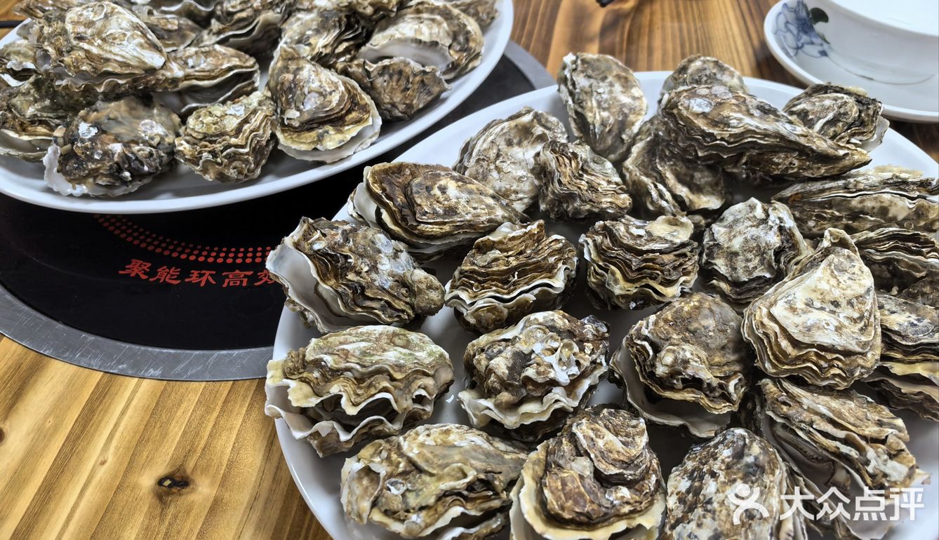 苏岗村里有肥嘟嘟的生蚝吃噢！