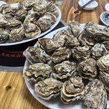 苏岗村里有肥嘟嘟的生蚝吃噢！