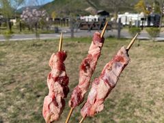 -王德炭烤牛羊肉(西关大街店)
