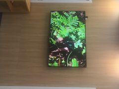 -爱妮康宠物医院·干细胞免疫细胞·肿瘤·心脏(张江店)