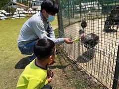 -前小桔亲子创意农场·草莓采摘·露营烧烤
