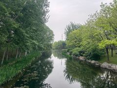 -大望京公园