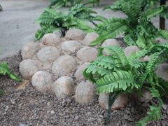 -延庆地质公园博物馆