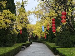 -大槐树寻根祭祖园