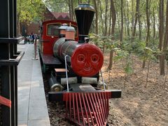 -合肥滨湖国家森林公园