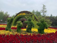 -大兴滨河森林公园