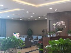-桃仙机场头等舱休息室
