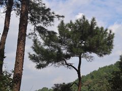 -宁波野生动物园