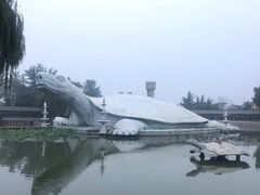 -东方巨龟苑景区