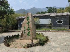 -阳台山自然风景区