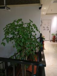 点击看大图 -苑苑发型设计