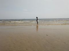 -日照海滨国家森林公园