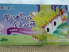 -嘉定紫藤园