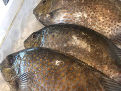 -Isla Sugbu Seafood City