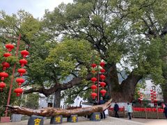 -新安江山水画廊风景区