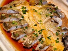 大黄鱼-巴音浩日娲酒楼(双林东路店)