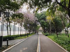 -顺峰山公园