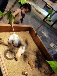 -酷嗒动物文化乐园(cutezoo西溪乐天城店)