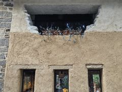 -寂照庵