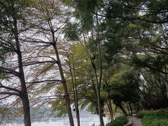 -南宁南湖公园