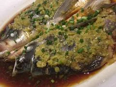 鱼头诱惑-绿茶餐厅(布吉万象汇店)