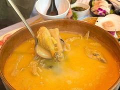 -鲜入围煮花胶鸡海鲜火锅