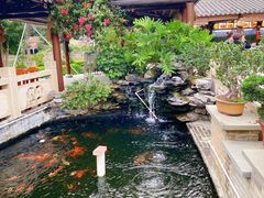 -顺德了能馆(虎门店)