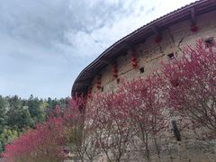 -南靖田螺坑土楼群景区