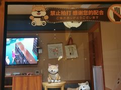 -大江户·温泉洗浴(浑南店)