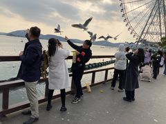 -蠡湖大桥公园