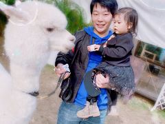 -玫瑰小镇