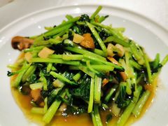 口蘑炒塔菜-庆赫隆融合菜馆(群力店)