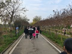 -武汉紫薇都市田园