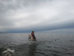 -青海湖国家重点风景名胜区