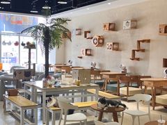 -藏猫猫咖啡主题馆(中央大道店)
