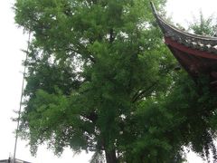 -上海青龙寺