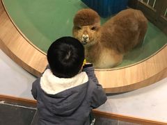 -藦茜花园宠物主题亲子互动体验馆(国顺东路店)