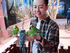-顺德南宏海立方海洋公园