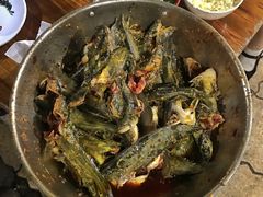 -金海椒罐罐鲢鱼(东方桂苑店)