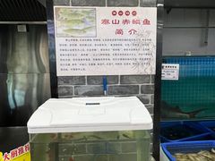 -赵记煎饼卷大葱(泰山大街店)