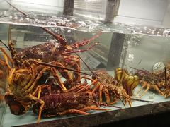 -甄御•海鲜新青岛菜(麦岛店)