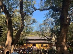 -普陀山风景名胜区-法雨禅寺