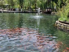 -水磨沟公园