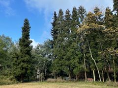 -重庆雨台山风景区