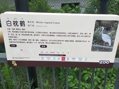 -武汉动物园
