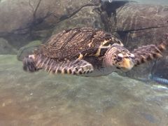 -福州罗源湾海洋世界旅游区