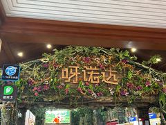 -呀诺达热带雨林