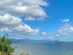 -深圳湾公园(南山区)